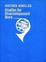 Studies for Unaccompanied Horn