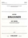 AVE MARIA FUER ALT UND ORGEL (KLAVIER, HARMONIUM) BAUERNFEIND, HANS, ED