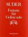 FANTASIE UEBER 2 THEMEN FUER VIOLINE SOLO