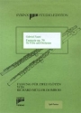 Fantasie op.79 f�r Fl�te und Orchester f�r 2 Fl�ten