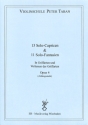Schule op.4 - 13 Capricen und 11 Fantasien f�r Violine