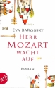 Herr Mozart wacht auf Roman broschiert