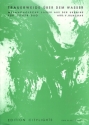 Trauerweide �ber dem Wasser f�r 2 Konzertzithern Stimmen