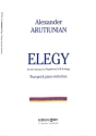 Elegy for trumpet (flugelhorn) and strings for trumpet and piano
