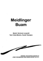 Meidlinger Buam f�r Gesang und Klavier