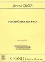 Giner  Fisarmonica Per Uno Accordeon Accordion