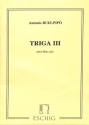 Ruiz-Pipo Triga Iii Pour Flute Flute