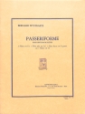 WYSTRAETE PASSERIFORME SEPTUOR DE FLUTES PARTITION