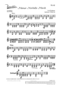 Mainzer Narrhalla-Marsch Salonorchester Einzelstimme Violine II
