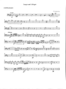 Largo und Allegro f�r Fl�te und Streicher Kontraba�