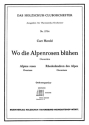 Herold, Curt Wo die Alpenrosen bl�hen Akkordeonorchester Partitur