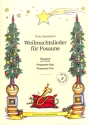 Weihnachtslieder (+Online Audio) f�r 2-3 Posaunen (Posaune und Klavier) Spielpartitur