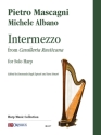 Intermezzo from Cavalleria rusticana for harp