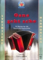 Oana geht scho (+CD) f�r steirische Harmonika in Griffschrift