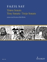 Truva Sonati op.78 f�r Klavier