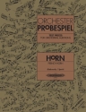 Orchester-Probespiel f�r Horn