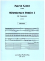 Mikrotonale Studie Band 1 f�r Ensemble Stimmen