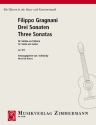 Sonate Nr.2 op.8 f�r Violine und Gitarre 2 Stimmen