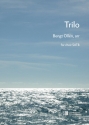 Trilo for mixed choir a cappella score (schwed)