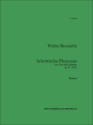 Schottische Fantasie op.47 f�r Viola und Orchester Partitur