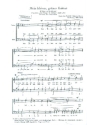 Mein kleiner gr�ner Kaktus f�r M�nnerchor Chorpartitur