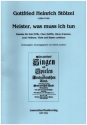 Meister, was muss ich tun f�r Soli (STB), gem Chor, Oboe d'amore, 2 Violinen, Viola und Bc Partitur