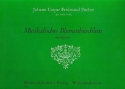 Musikalisches Blumenb�schlein f�r Klavier
