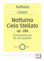 Notturno - Cielo Stellato