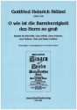 O wie ist die Barmherzigkeit des Herrn so gro� f�r Soli (STB), gem Chor, Oboe d'amore, 2 Violinen, Viola und Bc Partitur