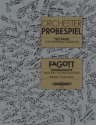 Orchester Probespiel f�r Fagott / Kontrafagott