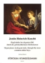 Orgelst�cke im eleganten Stil, durch die gebr�uchlichsten Molltonarten f�r Orgel