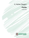 Partita for viola