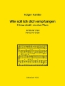 Partita �ber Wie soll ich dich empfangen f�r Orgel