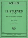 Progress in Flute Playing vol.2 - op.33 for flute