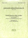 Schafe k�nnen sicher weiden aus BWV208 Arie f�r Sopran, 2 Altblockfl�ten und Bc Partitur und Stimmen