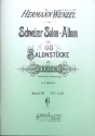 Schweizer Salo-Album Band 3 f�r Zither