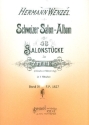 Schweizer Salon-Album Band 4 f�r Konzertzither (M�nchner Stimmung)