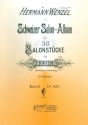 Schweizer Salon-Album Bd.2 f�r Zither (M�nchner Stimmung) Salonst�cke