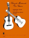 Serenade D-Dur op.96,2 f�r 2 Gitarren Partitur