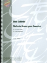 Sinfonia Breve para Cuerdas for string orchestra score