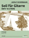 Soli SWV16 f�r Gitarre