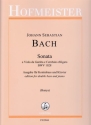 Sonata BWV1028 a viola da gamba e cembalo obligato f�r Kontrabass und Klavier