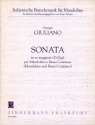 Sonate D-Dur f�r Mandoline und Bc