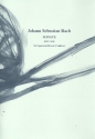 Sonate d-Moll BWV1020 f�r Fagott und Klavier (Cembalo)