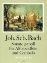 Sonate g-Moll BWV527 f�r Altblockfl�te und Cembalo