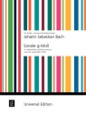 Sonate g-Moll (nach BWV1034) f�r Altblockfl�te und Bc