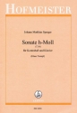 Sonate h-Moll (T 36) f�r Kontrabass und Klavier