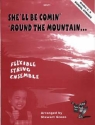 Stewart Green, Traditional She'll Be Comin' 'Round The Mountain string orchestra, flexible string ensemble