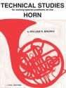 Technical Studies for solving special problems on the horn