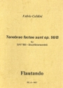 Tenebrae factae sunt op.98b f�r 6 Blockfl�ten (SATTBB) Partitur und Stimmen